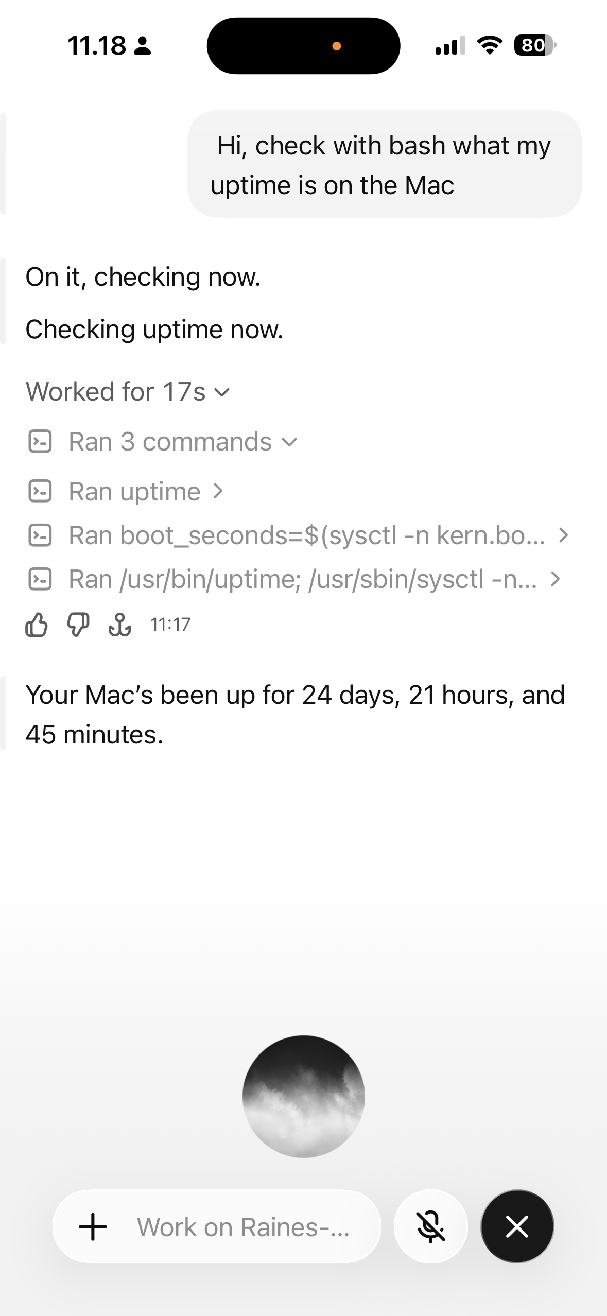 ChatGPT voice session on an iPhone running bash commands to check the Mac’s uptime and reporting 24 days, 21 hours, and 45 minutes.